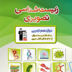 قلم چی زیست شناسی تصویری دوازدهم (رشته تجربی)