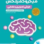 میکرو کمپلکس هوش تصویری و فضایی  مهروماه